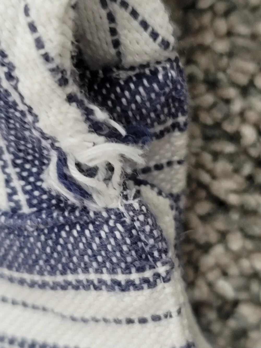 Bonpoint blue white